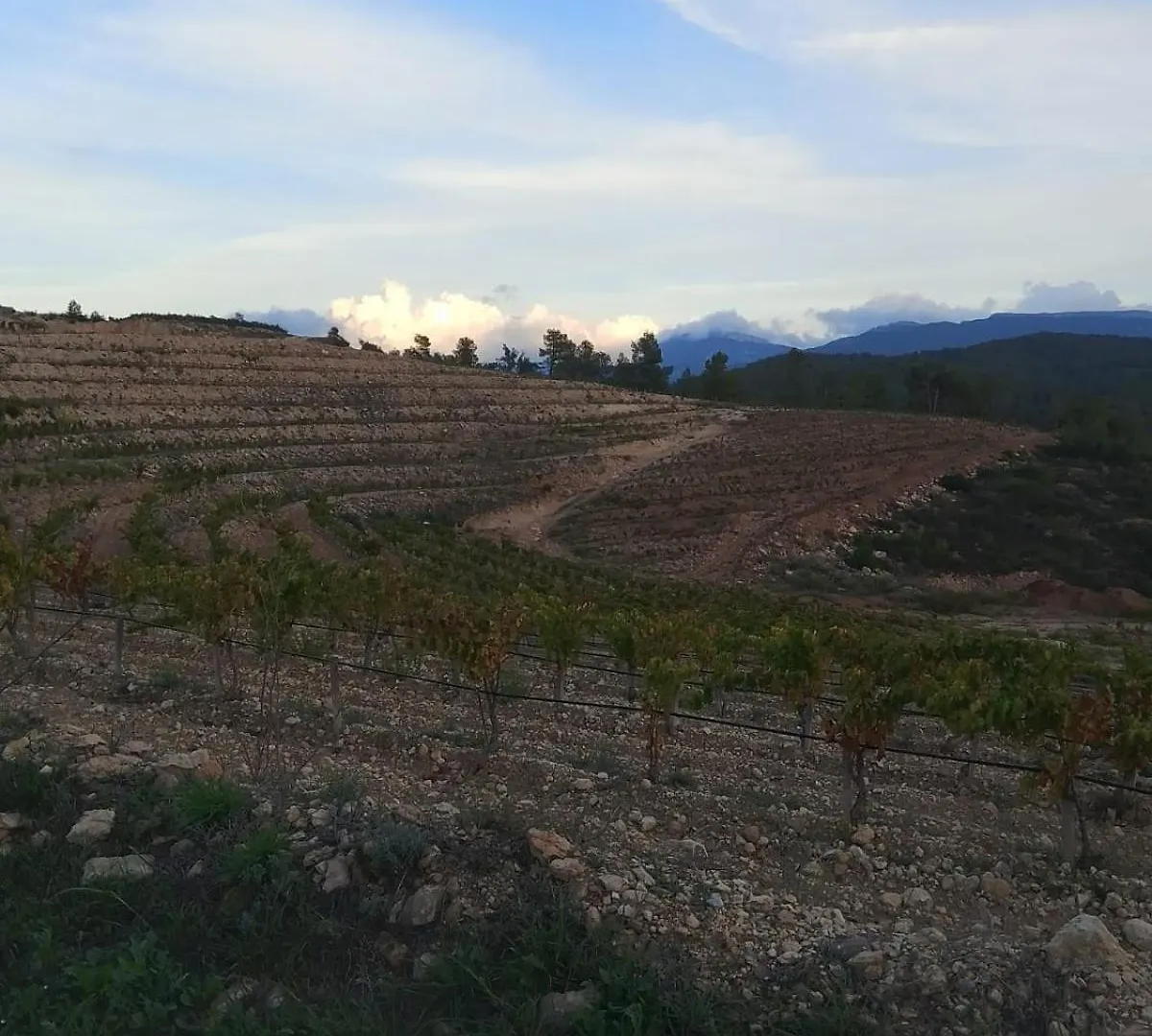 Camins Del Priorat : Ermita Sant Gregori Bis Apartment El Masroig Spain